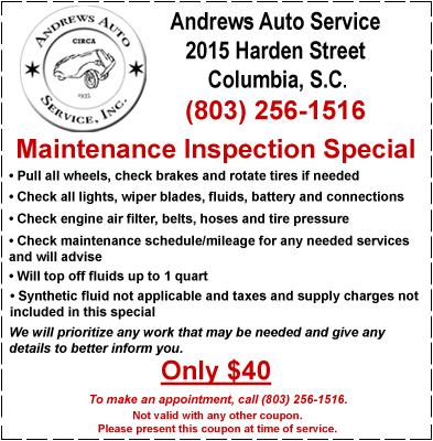 Maintenance Inspection Special - Only $40